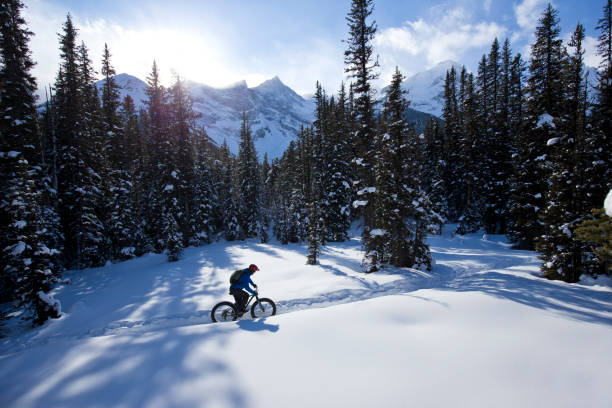 istock Winter Fat Bike Ride 1221450126