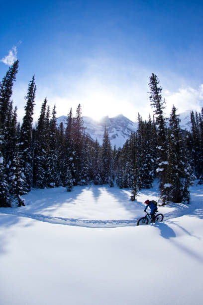 istock Winter Fat Bike Ride 1221450200