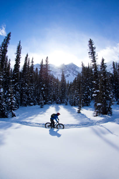Hemu Village, Snowy Mountains, Forests, and Winter Snow Scenery in Xinjiang Uygur Autonomous Region, China On February 22, 2023
