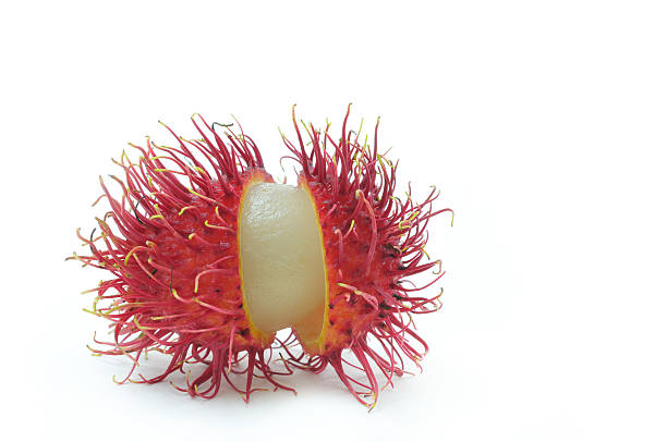 Open Rambutan stock photo