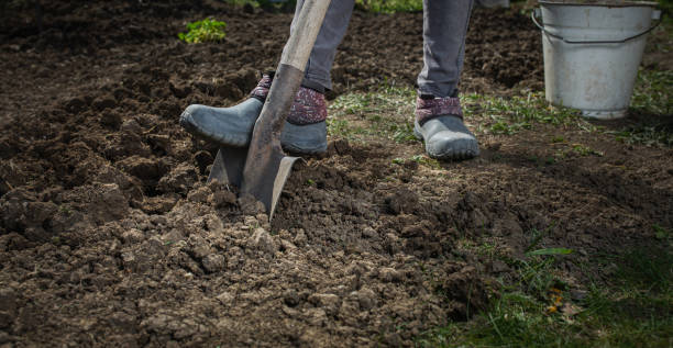 istock Spring preparation for planting harvest 1221453469
