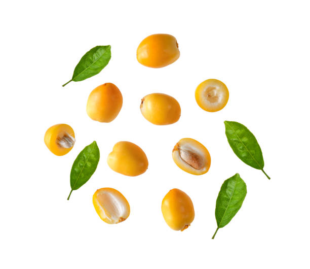 istock fresh date palm isolated on white background 1221453912
