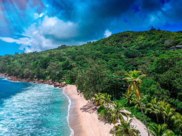 istock Beautiful Beach at the Seychelles by Drone 1221456527