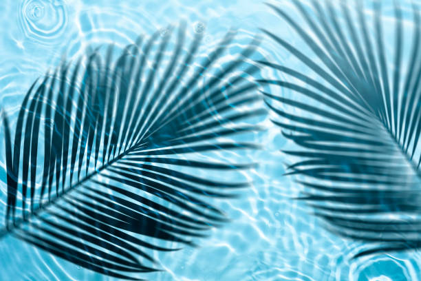 istock Mint light green turquoise liquid cosmetic water gel with circular rippling wave effect 1221457274