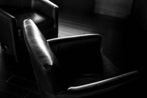 istock Arm chair in living room 1221458165