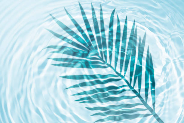 istock Palm leaf shadow on mint light green turquoise liquid cosmetic water gel with circular rippling wave effect 1221458295