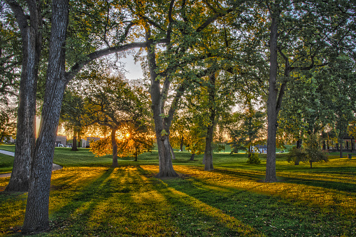 The sun rises through the trees at Island Park in Fargo North Dakota.