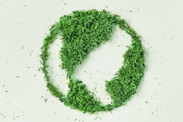 istock Planet earth of leaves on a white background copy space for text. Environmental concept environmental protection. 1221462182