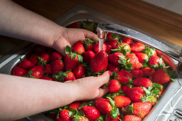 erdbeeren unter wasser in der spüle waschen - washing fruit preparing food strawberry stock-fotos und bilder