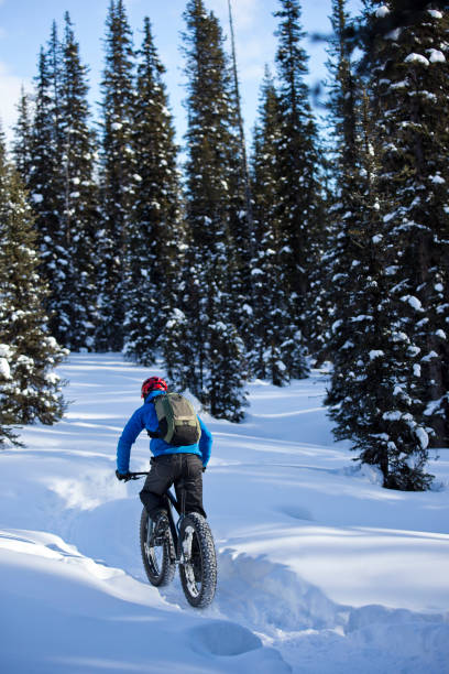 istock Winter Fat Bike Ride 1221466751