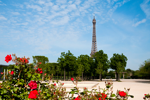 Eiffel Tower and Champ de Mars are empty during pandemic Covid 19 in Europe. There are no people, no tourists because people must stay at home and be confine. Schools, restaurants, stores, museums... are closed. Paris, in France. April 27, 2020.