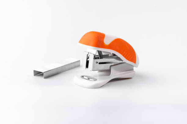 Three Dimensional, Stapler, Education, School Building, Secretary