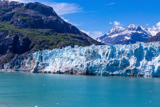 마제리 빙하, 빙하 베이, 알래스카 - glacier bay national park 뉴스 사진 이미지