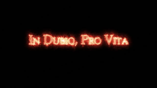 In dubio pro vita written with fire. Loop
