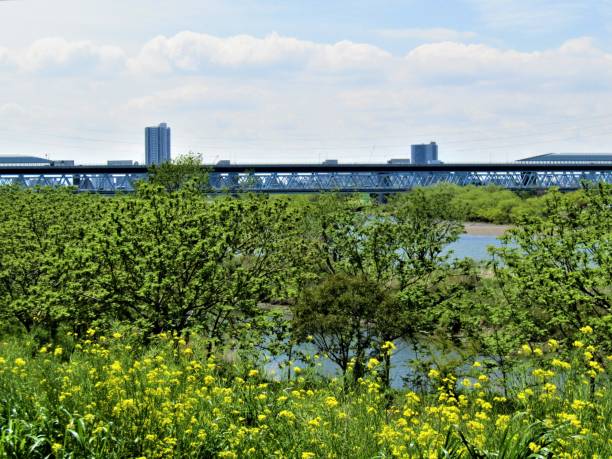 istock Japan. April. Bridge across Edogawa river in between Tokyo and Matsuda. 1221472191