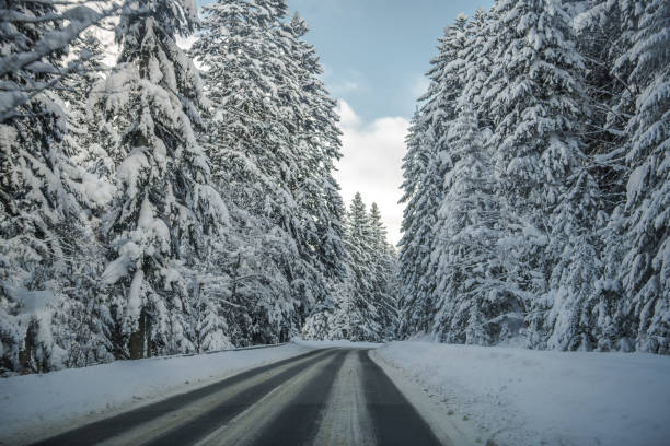 istock Country Road In Forest Covered With Snow. 1221478232