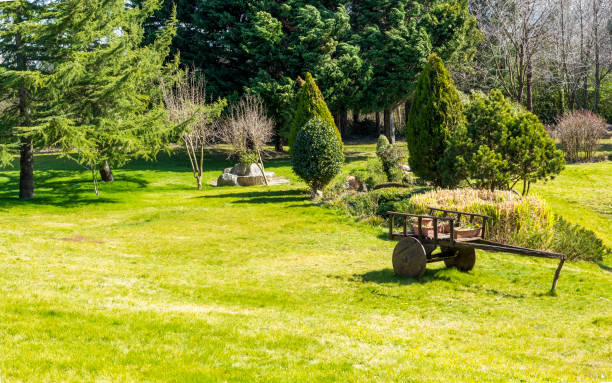 Decorative Old Cart in Garden