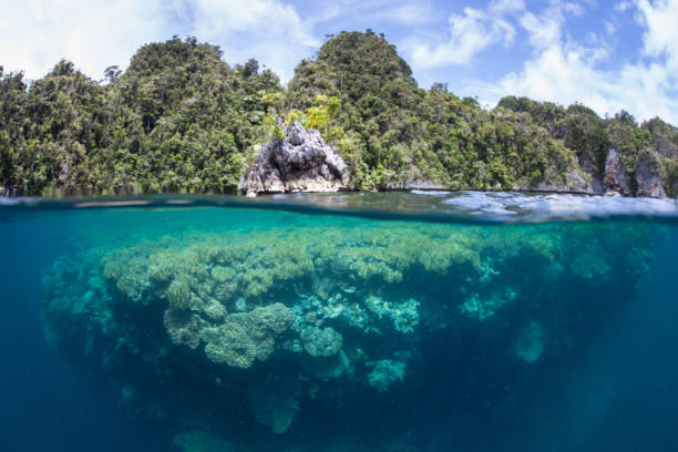 istock Coral Reef and Limestone Islands in Misool 1221481540