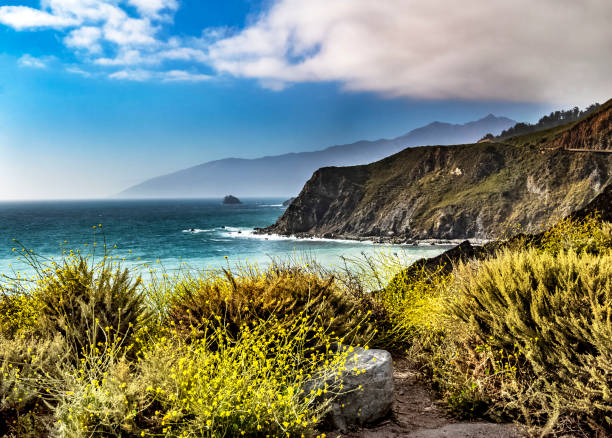 California Coast Landscape