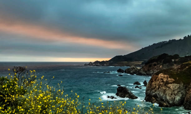 istock California Coast Landscape 1221482313