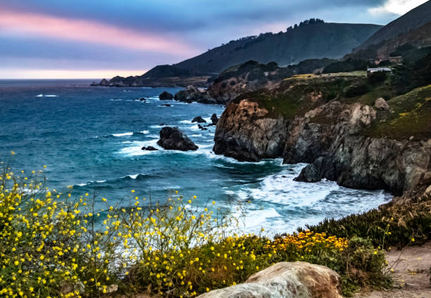 istock California Coast Landscape 1221482329