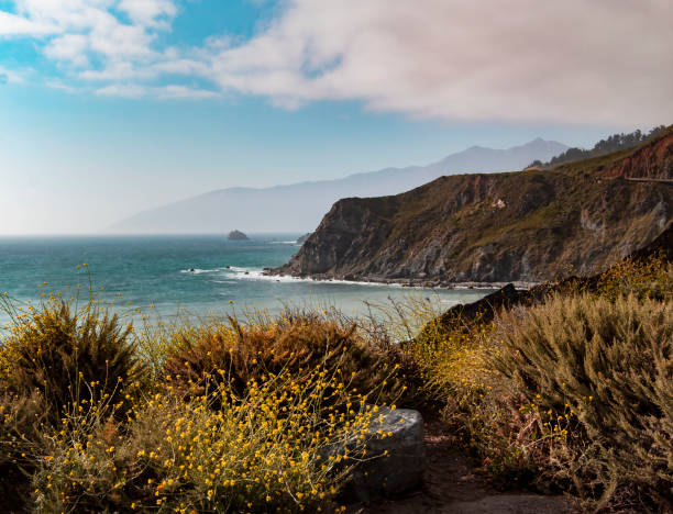 California Coast Landscape