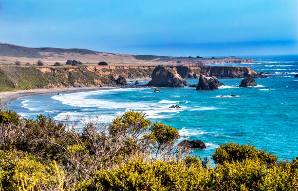 istock California Coast Landscape 1221482376