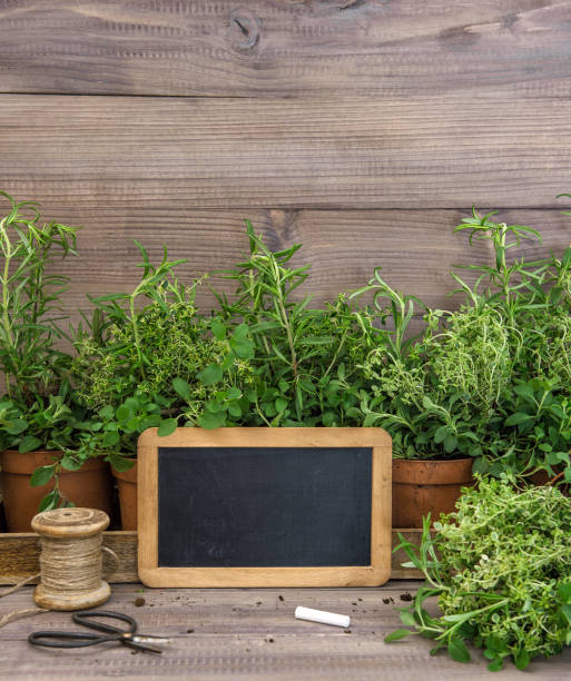 istock Kitchen herbs plants chalkboard Gardening at home 1221487451