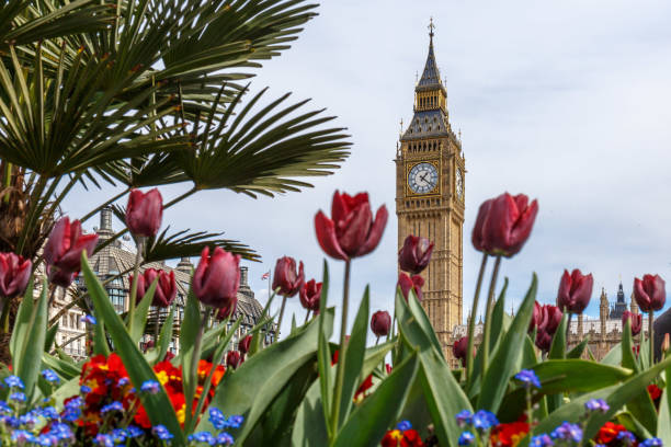 istock View of Big Ben in spring in London 1221488691