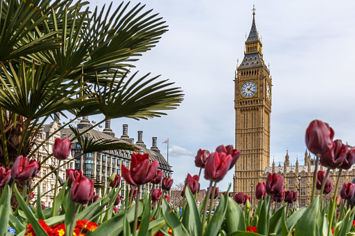 View of Big Ben in spring in London