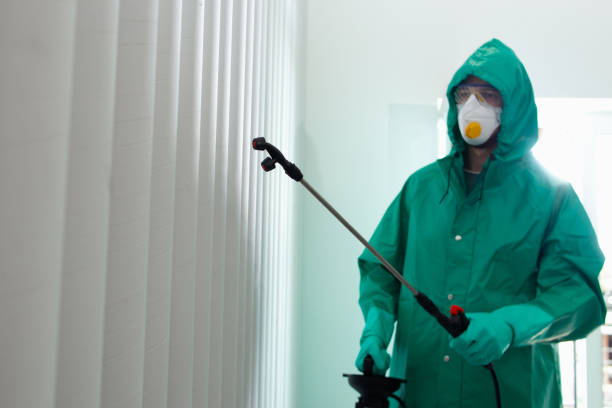 istock Disinfectant worker in protective suit sanitizing the wall stock photo 1221490351