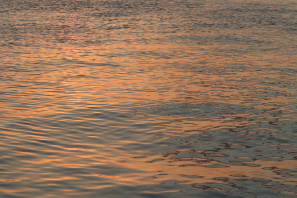 istock Sunset reflection on water. sparkly shiny on the surface 1221490560