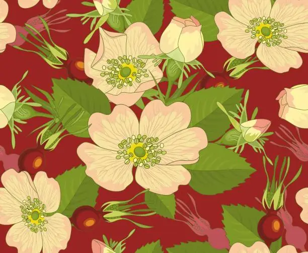 Vector illustration of flowers and brier
