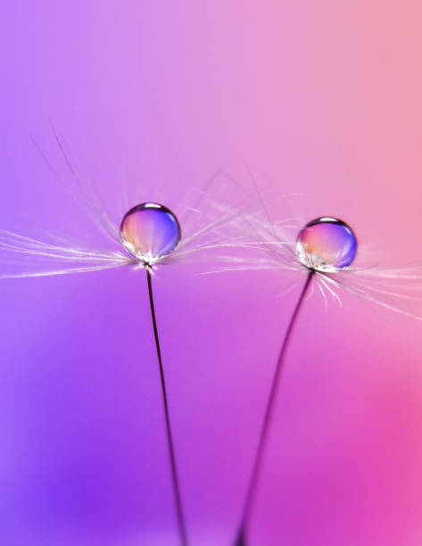 istock Pop color of water drop 1221497739