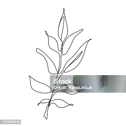 istock One line leaf vector drawing. Botanical Continuous line Contour illustration 1221500510