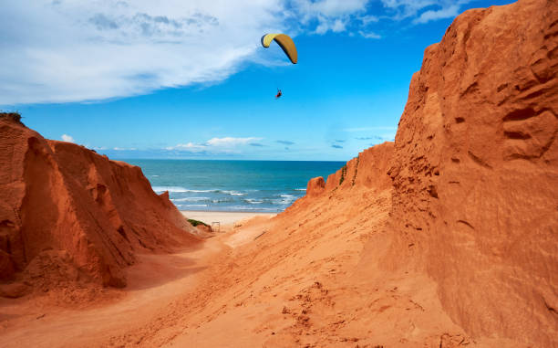 istock Paragliding on the Brazil beach 1221502309