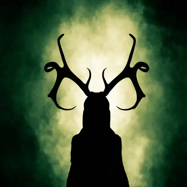 Photo of Queen of the woods,silhouette  woman wearing antlers,3d rendering