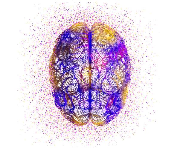 istock Abstract human brain with colorful dots 1221505374