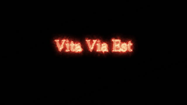 Vita via est written with fire. Loop