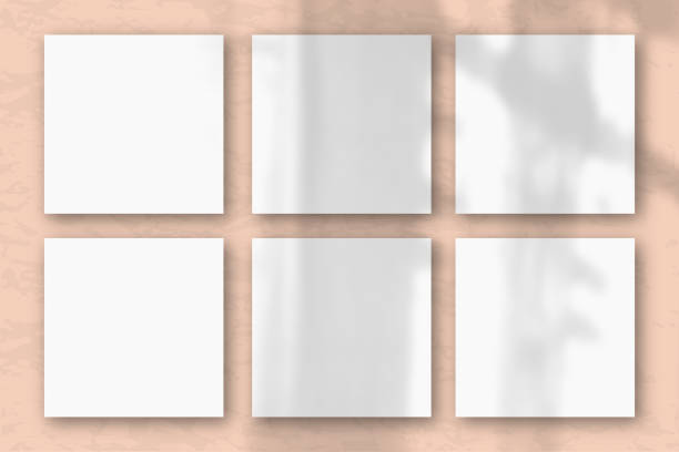 istock 6 square sheets of white textured paper on the pink wall background. Layout with an overlay of plant shadows. Natural light casts shadows from the window. Flat lay, top view 1221506966