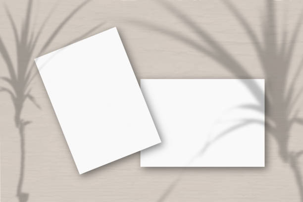 istock 2 sheets of white textured paper against a gray wall. Mockup overlay with the plant shadows. Natural light casts shadows from a tropical plant. Horizontal orientation 1221507653