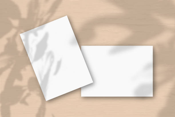 istock 2 sheets of white textured paper against a orange wall. Mockup overlay with the plant shadows. Natural light casts shadows from an exotic plant. Flat lay, top view. Horizontal orientation 1221507707