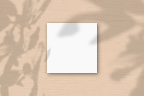istock A square sheet of white textured paper on a orange wall background. Mockup overlay with the plant shadows. Natural light casts shadows from an exotic plant. Flat lay, top view. Horizontal orientation 1221507711