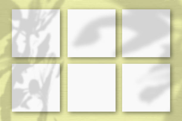 istock 6 square sheets of white textured paper on the yellow wall background. Mockup overlay with the plant shadows. Natural light casts shadows from an exotic plant. Flat lay, top view 1221507757