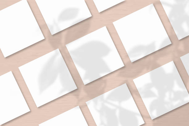 istock Several square sheets of white textured paper against a pink wall background.Natural light casts shadows from an exotic plant. Flat lay, top view 1221507840