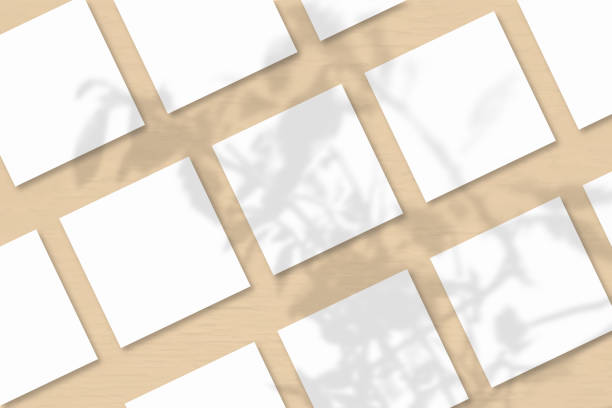 istock Several square sheets of white textured paper against a orange wall background.Natural light casts shadows from an exotic plant. Flat lay, top view 1221507920