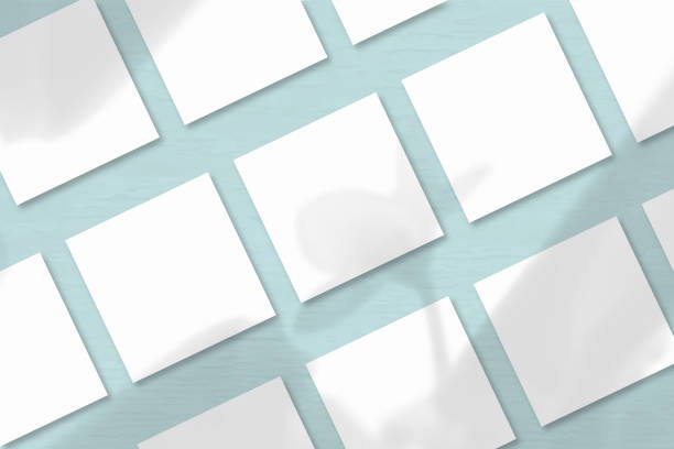 istock Several square sheets of white textured paper against a blue wall background.Natural light casts shadows from an exotic plant. Flat lay, top view 1221508041