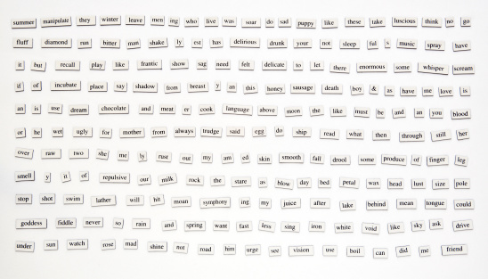 Over 200 different words and word-forms on magnetic tiles