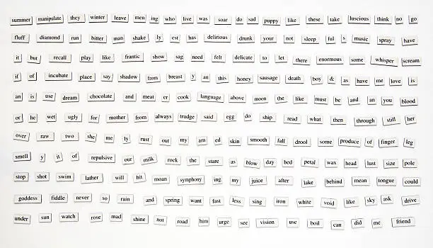 Photo of 200+ Magnetic Words