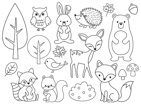Vector line set of Woodland Animals. Animal outline for coloring including bear, deer, fox, rabbit, raccoon, squirrel, hedgehog, owl, bird.